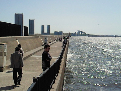 若洲海浜公園の海釣り施設